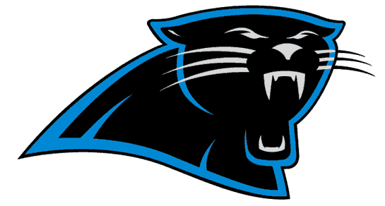 Carolina Panthers 1995-2011 Primary Logo DIY iron on transfer (heat transfer)